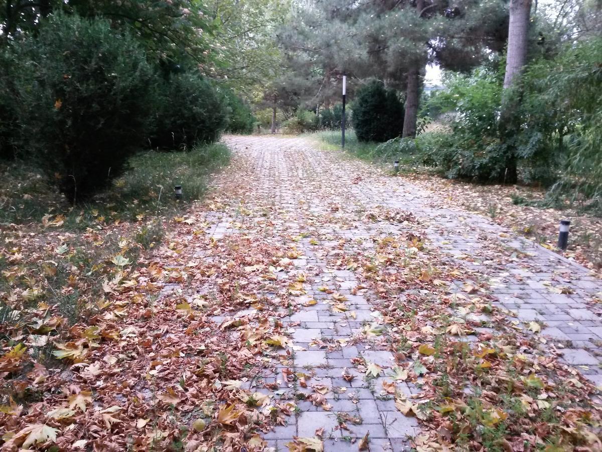 Sheki Olimpiya Hotel & Resort Εξωτερικό φωτογραφία
