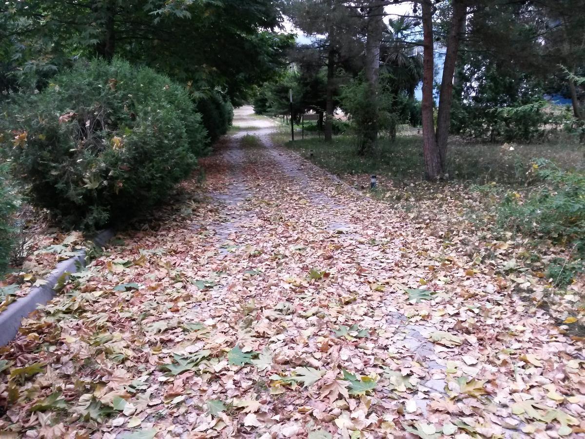 Sheki Olimpiya Hotel & Resort Εξωτερικό φωτογραφία