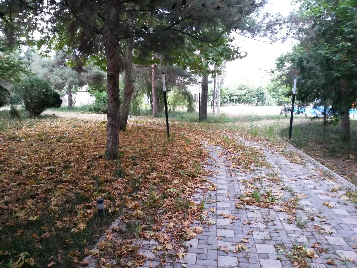 Sheki Olimpiya Hotel & Resort Εξωτερικό φωτογραφία