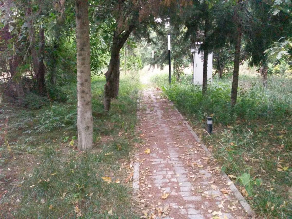 Sheki Olimpiya Hotel & Resort Εξωτερικό φωτογραφία