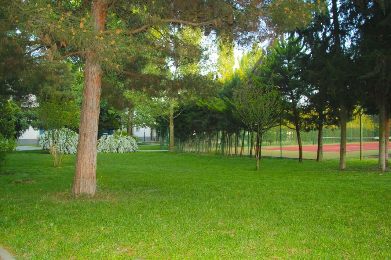 Sheki Olimpiya Hotel & Resort Εξωτερικό φωτογραφία