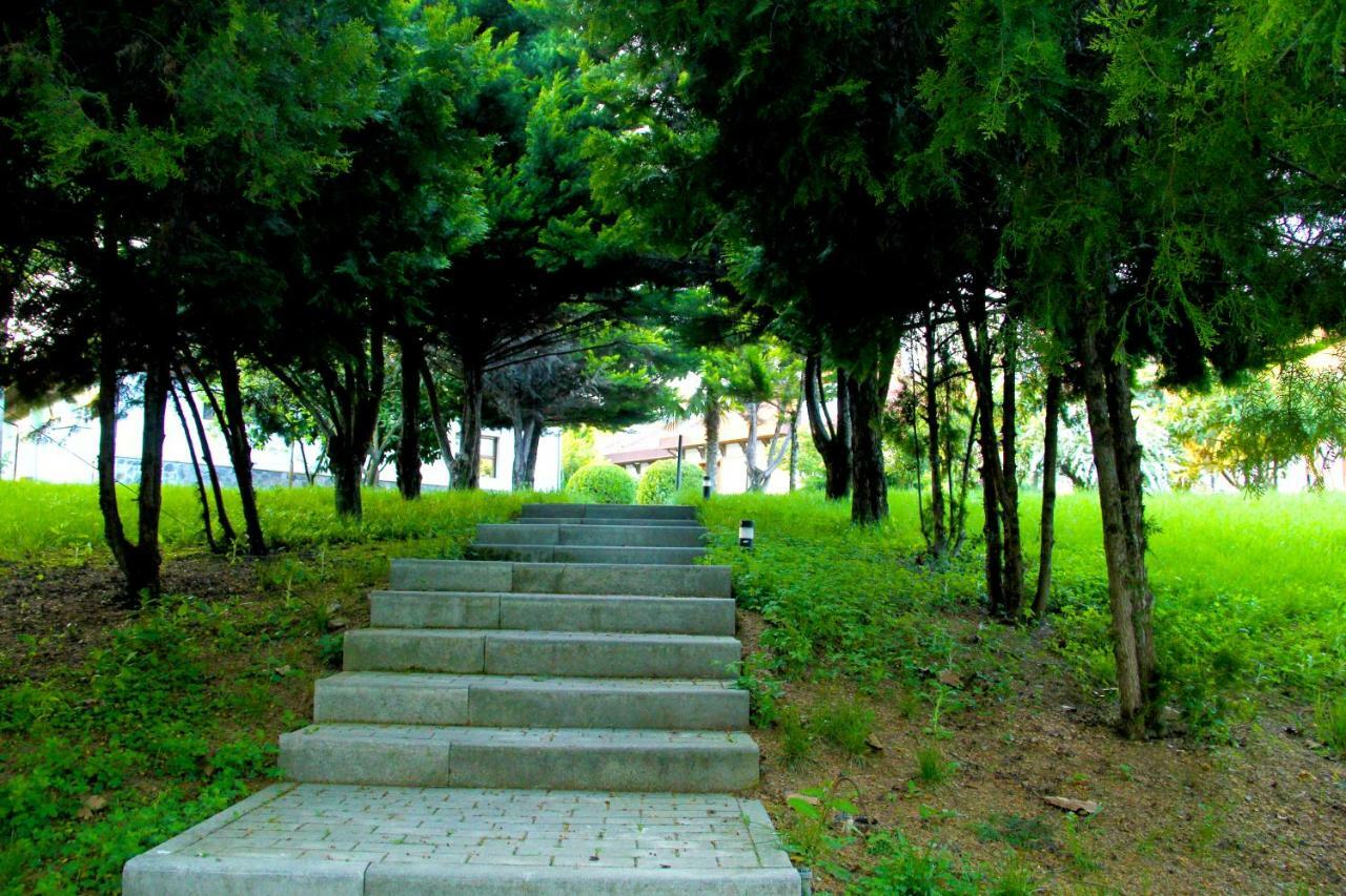 Sheki Olimpiya Hotel & Resort Εξωτερικό φωτογραφία