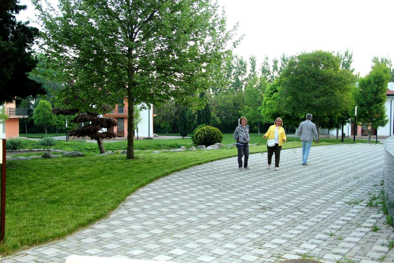 Sheki Olimpiya Hotel & Resort Εξωτερικό φωτογραφία